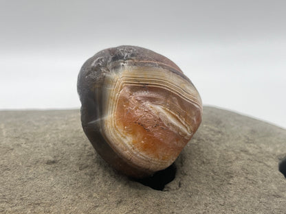 Parallax Bander LSA 23