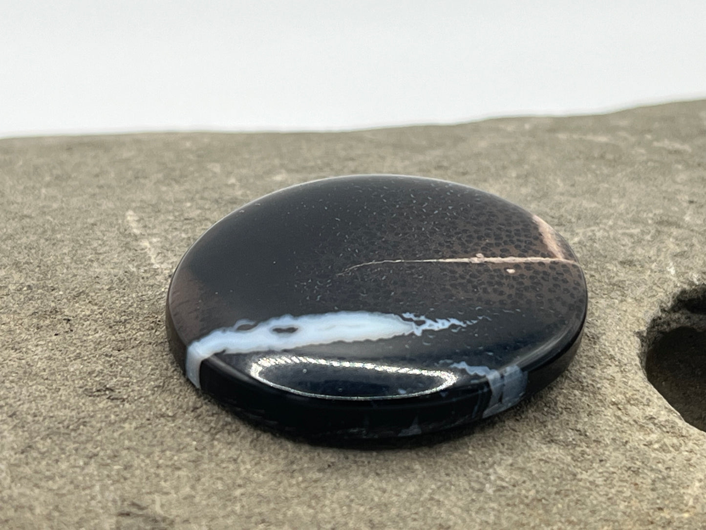 Eden Valley Petrified Wood Cabochon 13