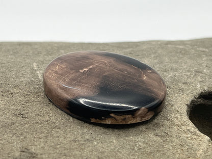 Eden Valley Petrified Wood Cabochon 11
