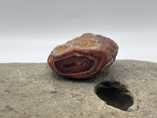 Limonite Stained Pealer LSA 32