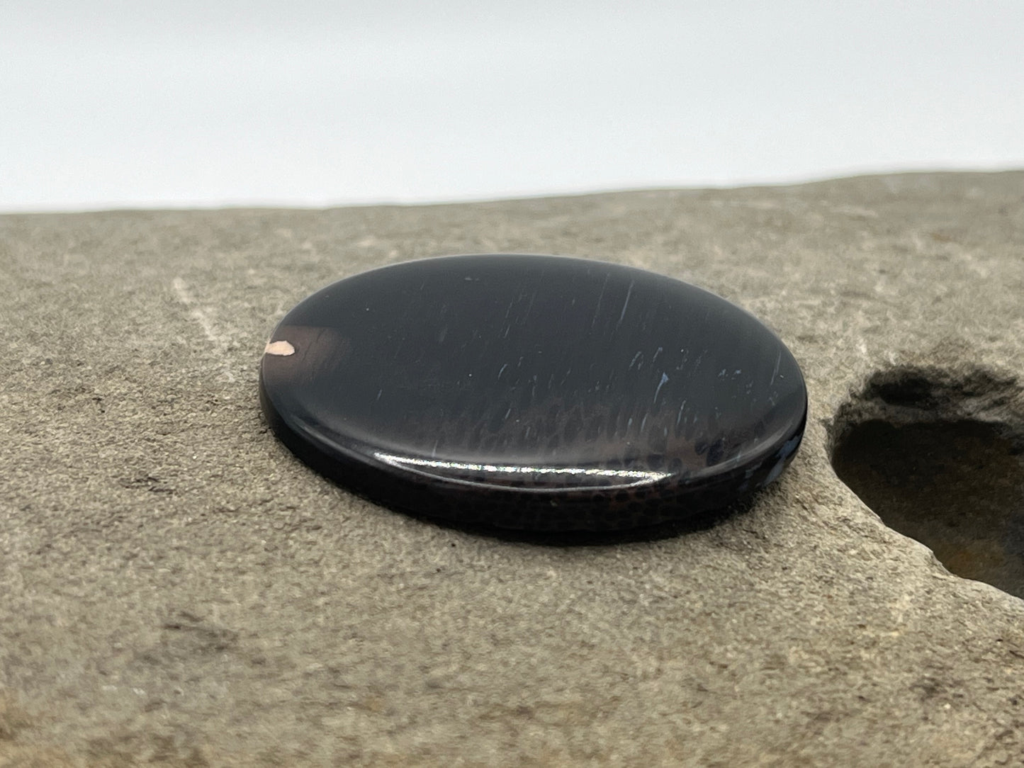 Eden Valley Petrified Wood Cabochon 20