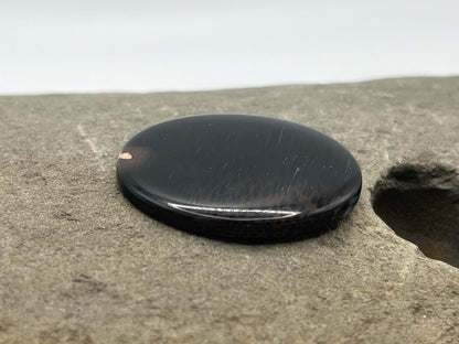 Eden Valley Petrified Wood Cabochon 20