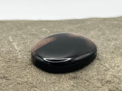 Eden Valley Petrified Wood Cabochon 27