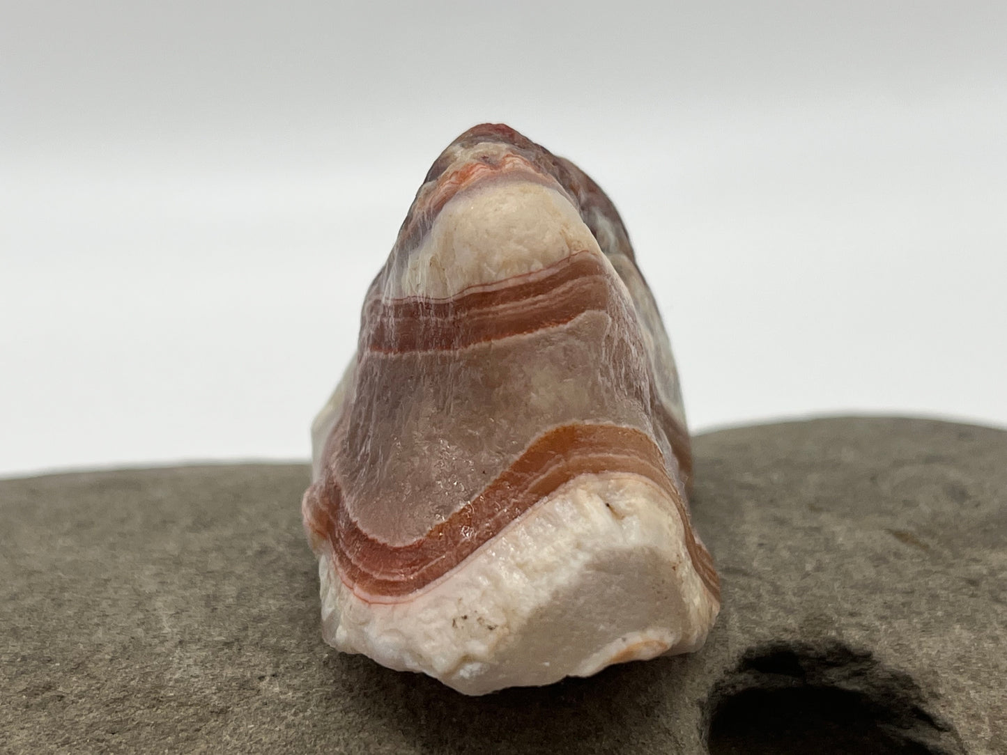 Swooping Red and White Banded LSA 38
