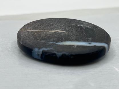Eden Valley Petrified Wood Cabochon 13