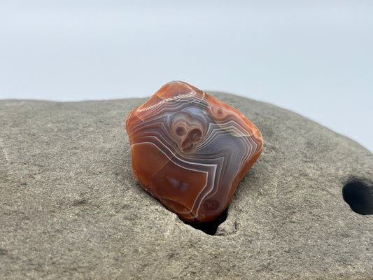 Lake Superior Agate Specimen 31