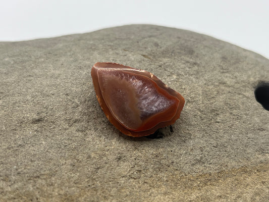 Lake Superior Agate Specimen 25