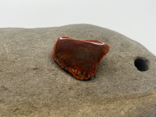 Lake Superior Agate Specimen 8