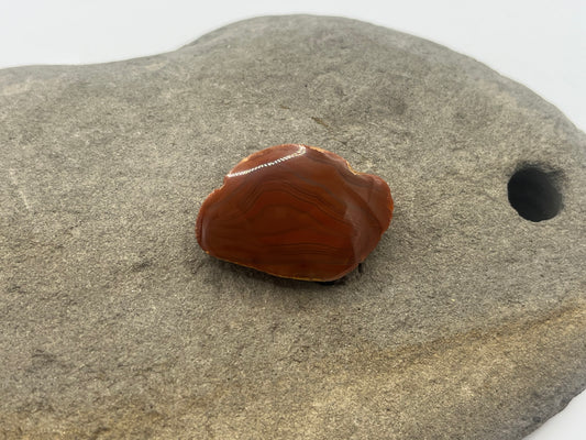 Lake Superior Agate Specimen 10