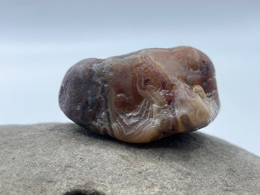 Botryoidal Tuber LSA 4