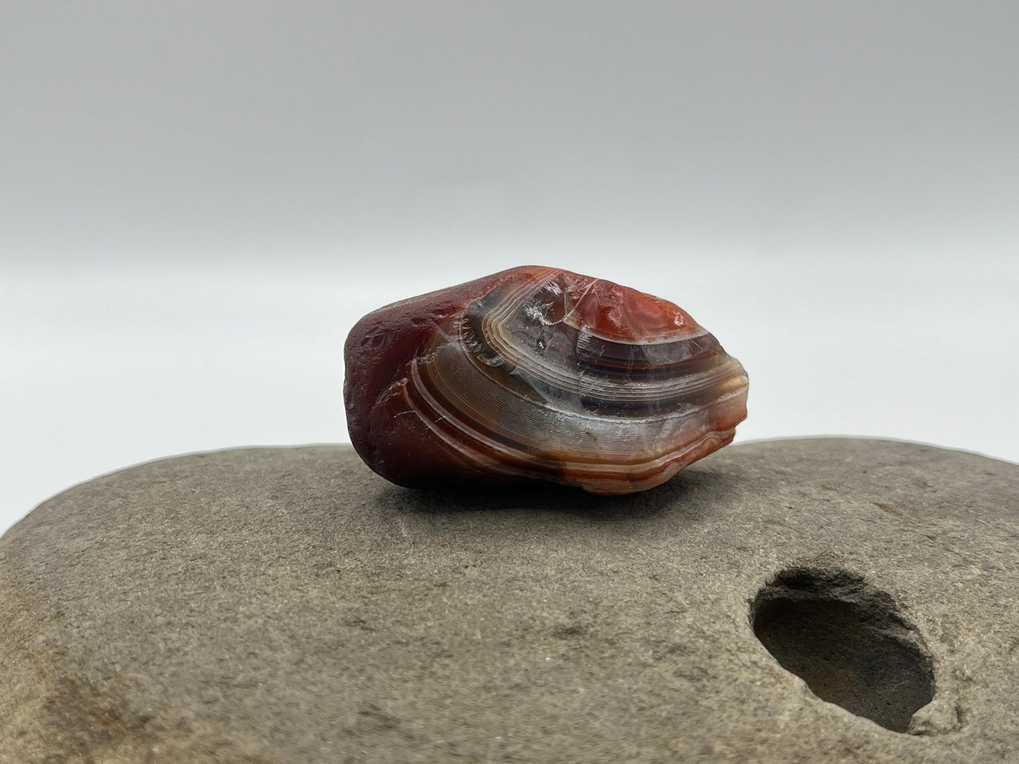 Candy Cane Banded LSA 1