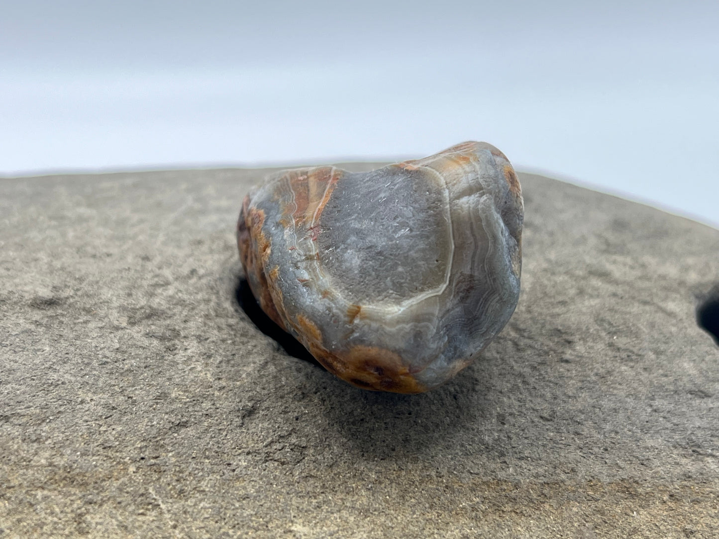 Spotted Limonite Stained LSA 54