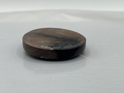 Eden Valley Petrified Wood Cabochon 4