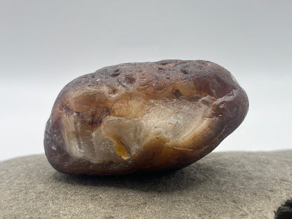 Root Beer Husked LSA 10