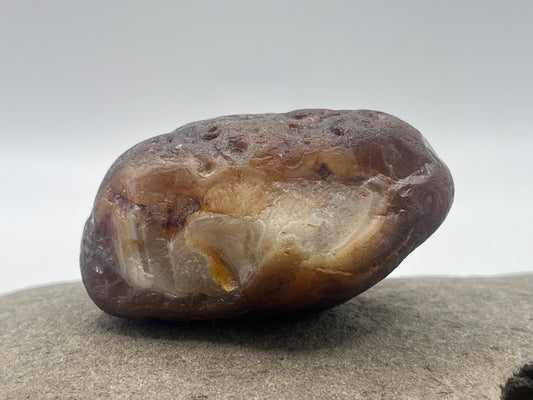 Root Beer Husked LSA 10