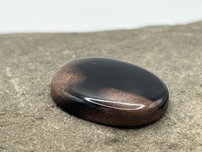 Eden Valley Petrified Wood Cabochon 27