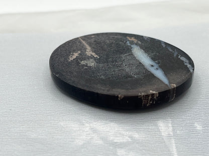 Eden Valley Petrified Wood Cabochon 10