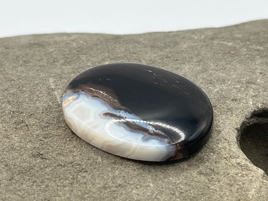 Eden Valley Petrified Wood Cabochon 28