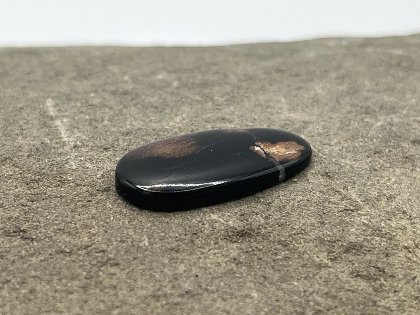 Eden Valley Petrified Wood Cabochon 21