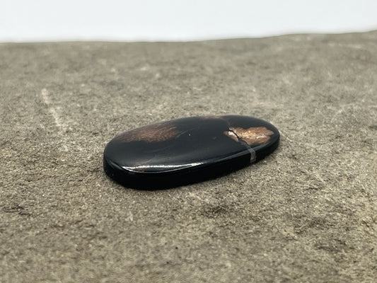 Eden Valley Petrified Wood Cabochon 21