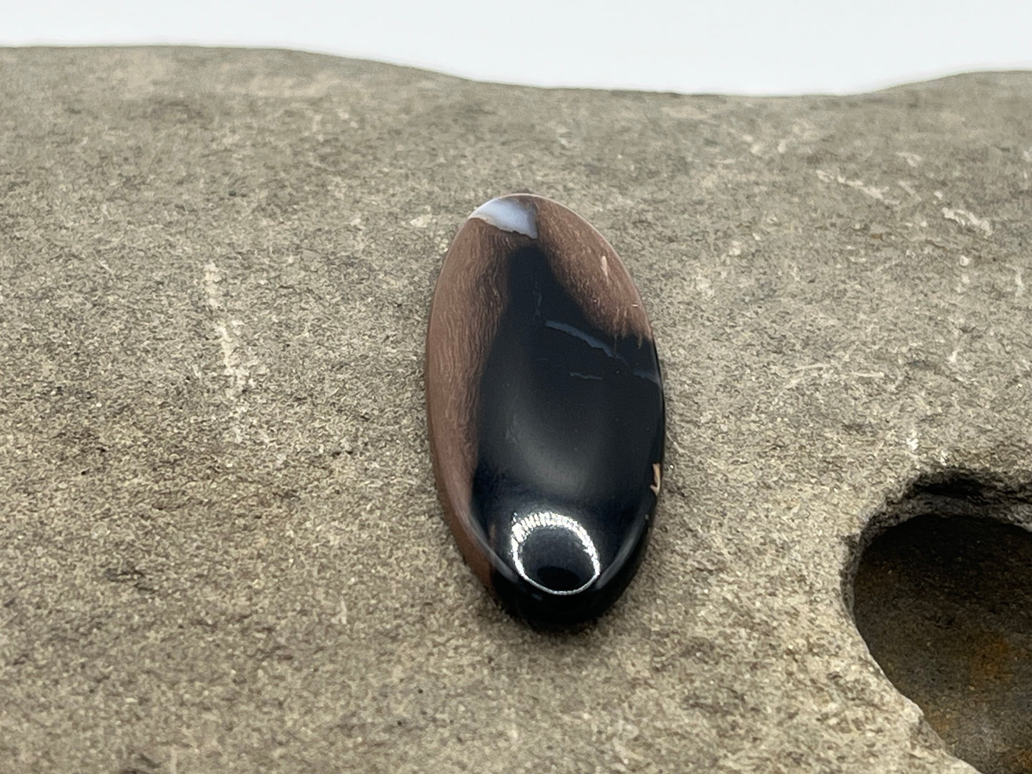 Eden Valley Petrified Wood Cabochon 3