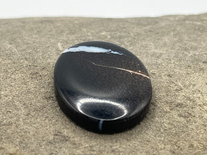 Eden Valley Petrified Wood Cabochon 9