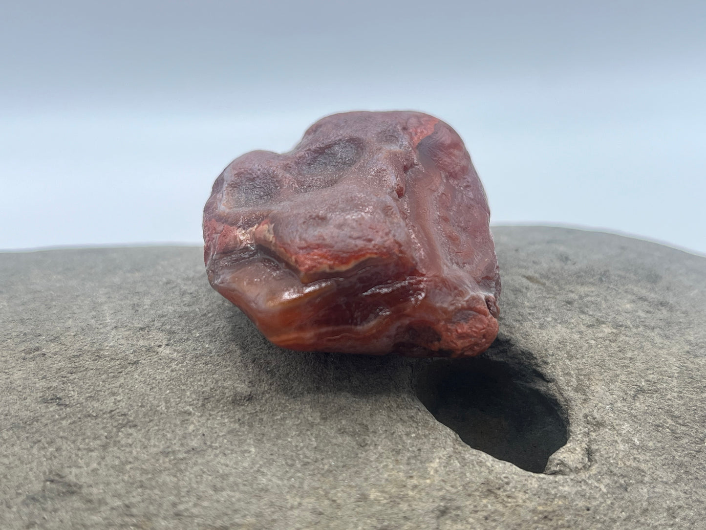 Red Pealer with Floater bands LSA 51